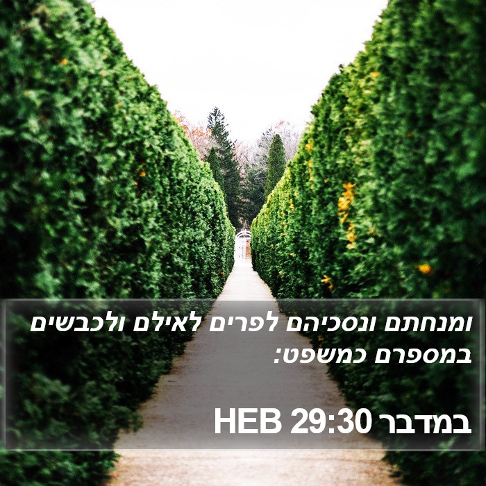 במדבר 29:30 HEB Bible Study