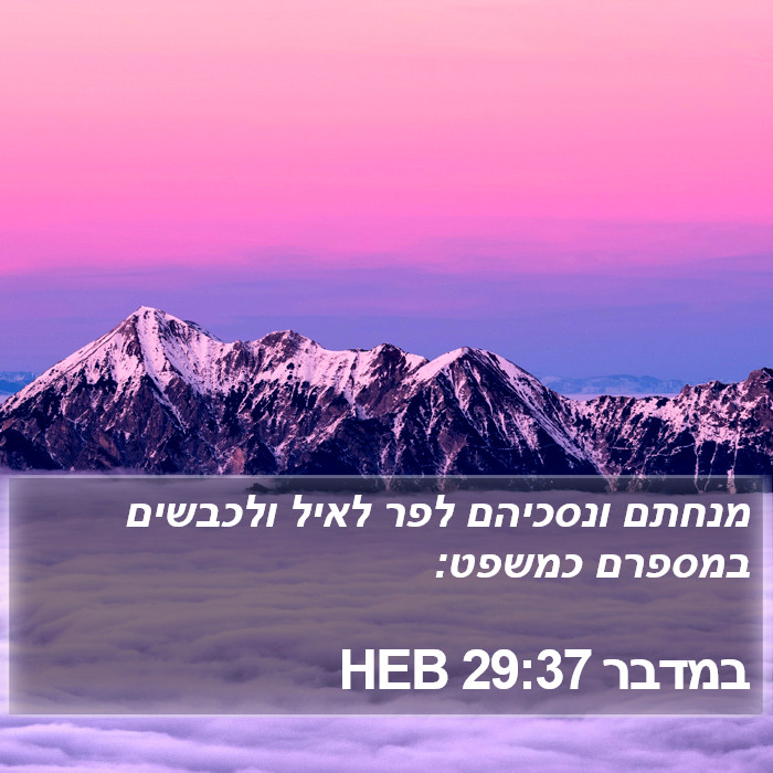 במדבר 29:37 HEB Bible Study