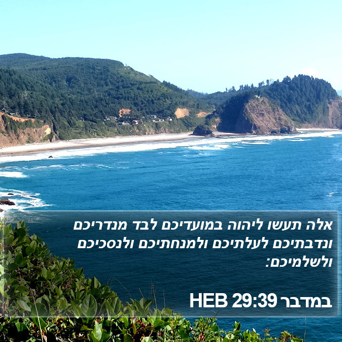 במדבר 29:39 HEB Bible Study