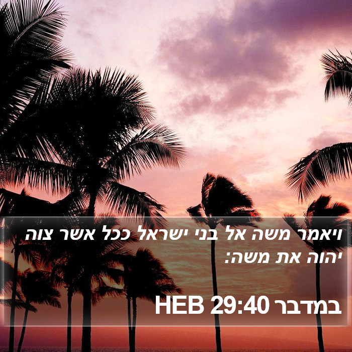 במדבר 29:40 HEB Bible Study