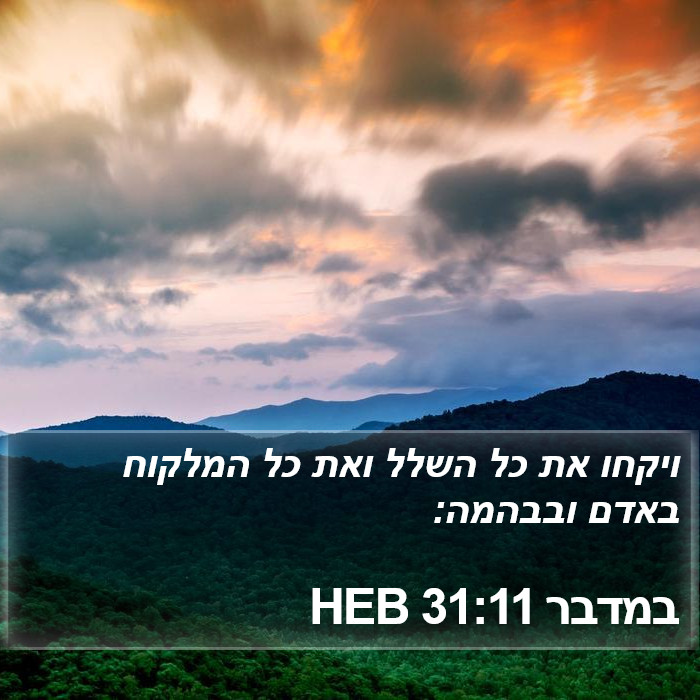 במדבר 31:11 HEB Bible Study