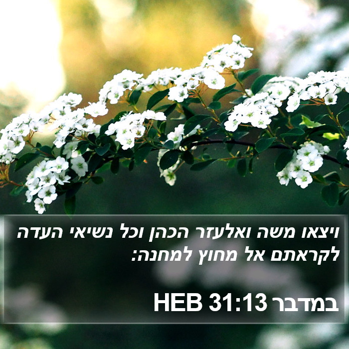 במדבר 31:13 HEB Bible Study