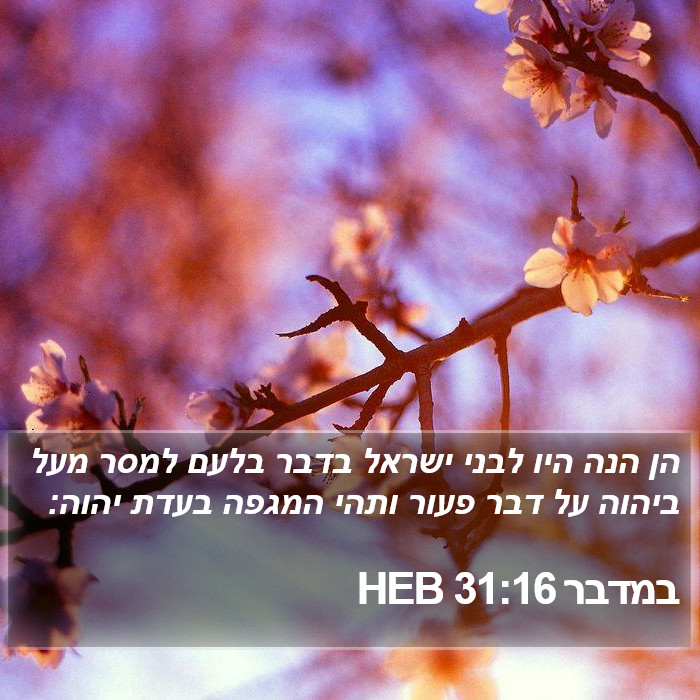 במדבר 31:16 HEB Bible Study