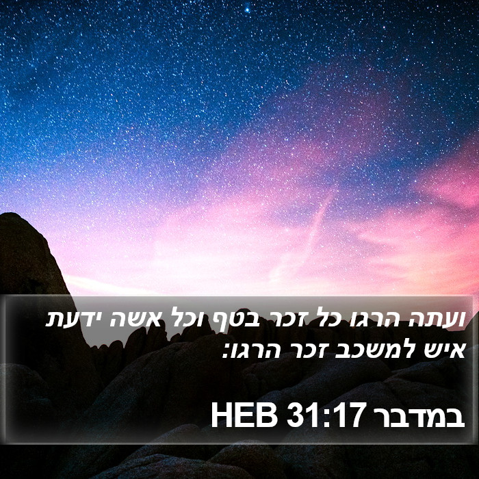 במדבר 31:17 HEB Bible Study