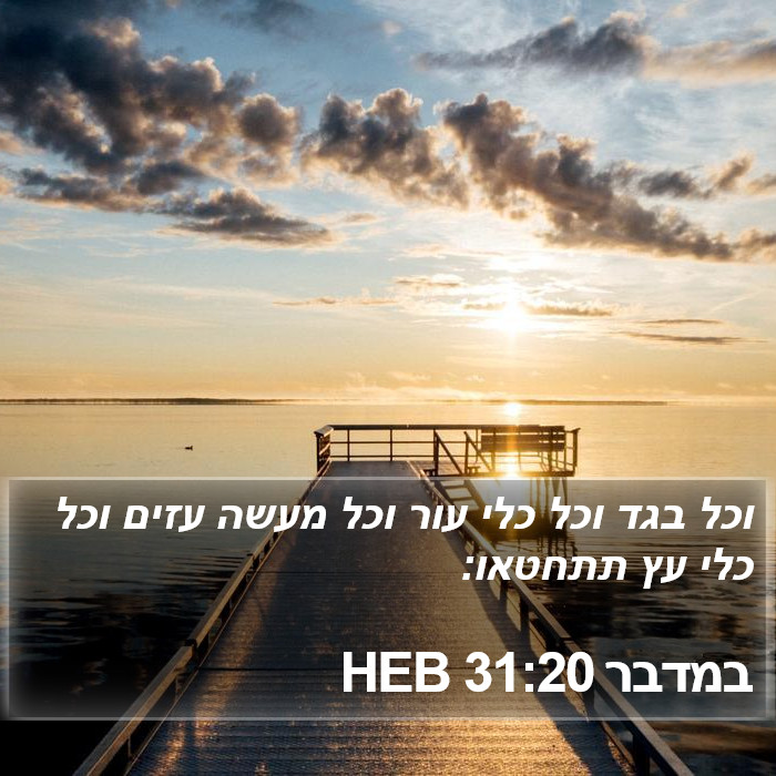 במדבר 31:20 HEB Bible Study