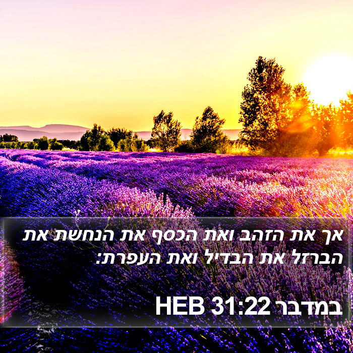 במדבר 31:22 HEB Bible Study