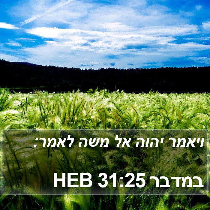 במדבר 31:25 HEB Bible Study