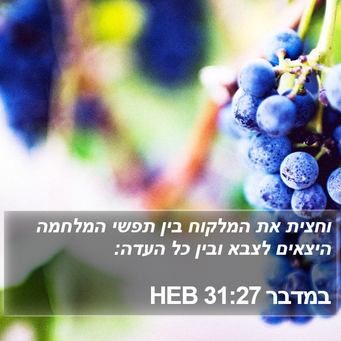 במדבר 31:27 HEB Bible Study