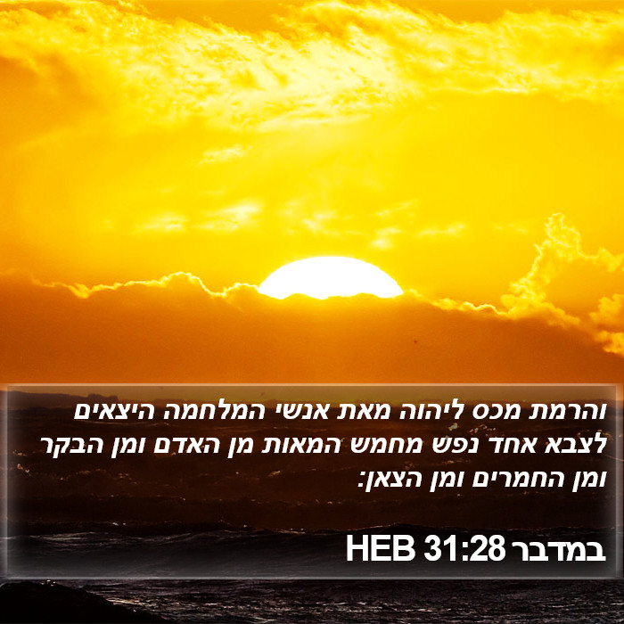 במדבר 31:28 HEB Bible Study