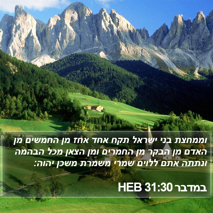 במדבר 31:30 HEB Bible Study