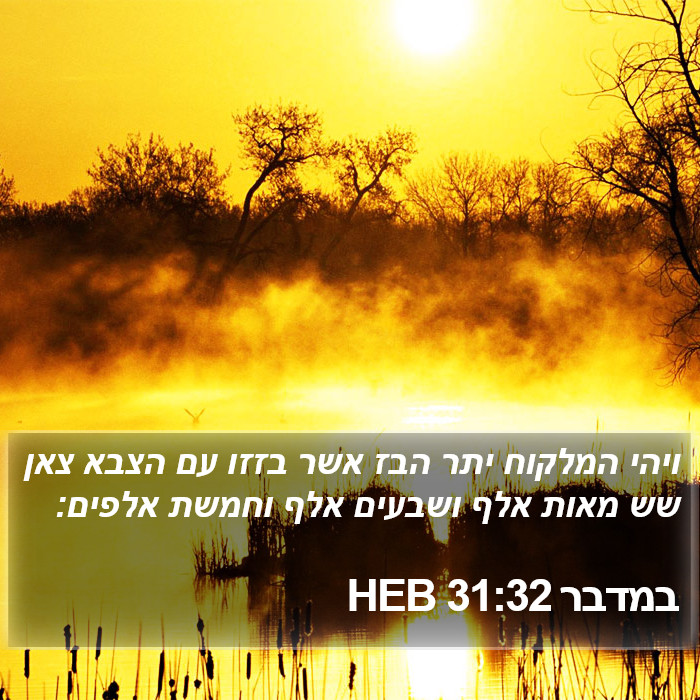 במדבר 31:32 HEB Bible Study