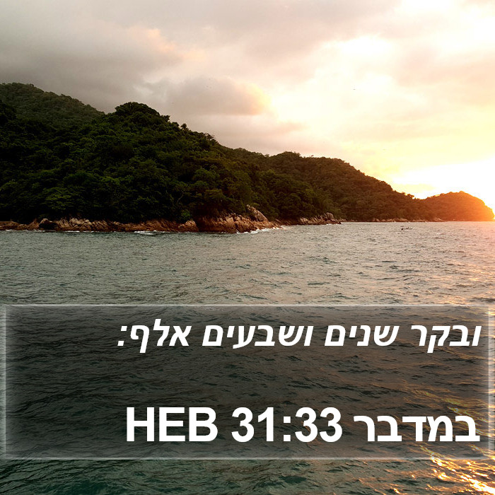 במדבר 31:33 HEB Bible Study