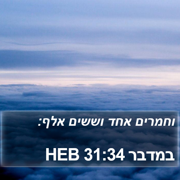 במדבר 31:34 HEB Bible Study