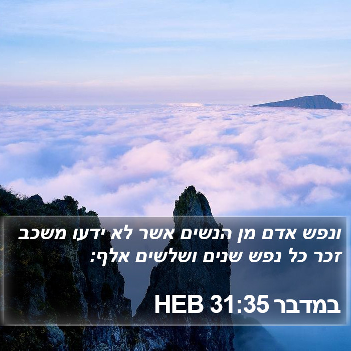 במדבר 31:35 HEB Bible Study