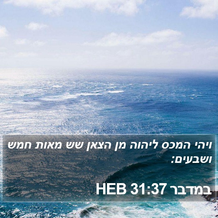 במדבר 31:37 HEB Bible Study