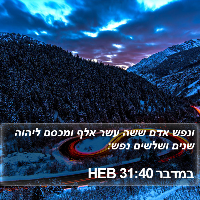 במדבר 31:40 HEB Bible Study