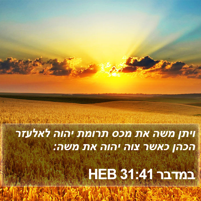 במדבר 31:41 HEB Bible Study