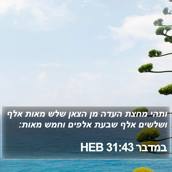 במדבר 31:43 HEB Bible Study