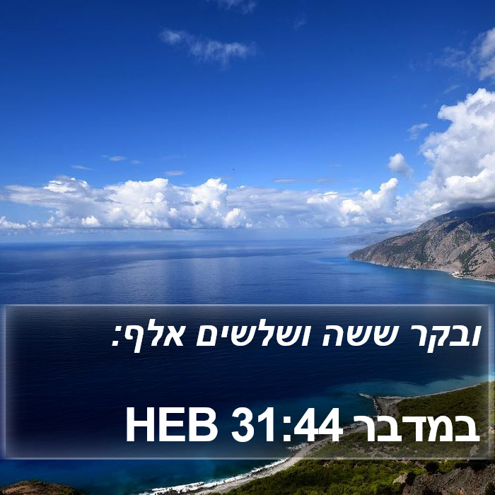 במדבר 31:44 HEB Bible Study