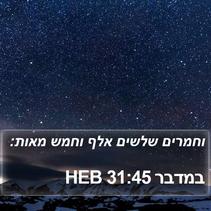 במדבר 31:45 HEB Bible Study