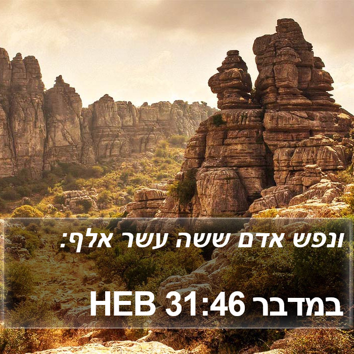 במדבר 31:46 HEB Bible Study