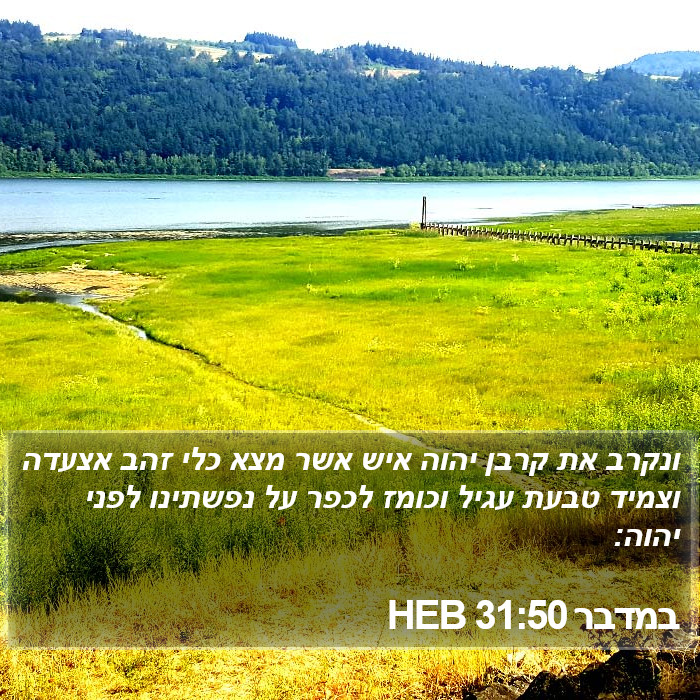 במדבר 31:50 HEB Bible Study