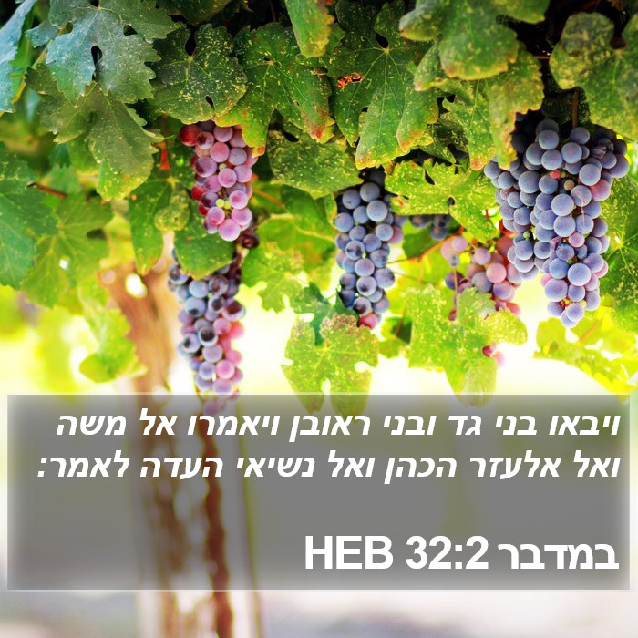 במדבר 32:2 HEB Bible Study