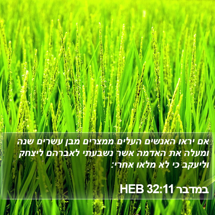 במדבר 32:11 HEB Bible Study