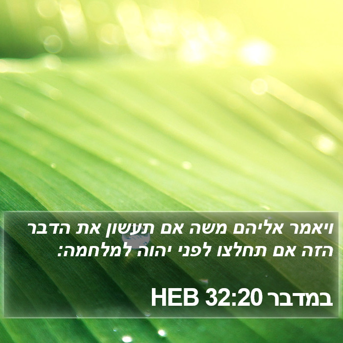 במדבר 32:20 HEB Bible Study