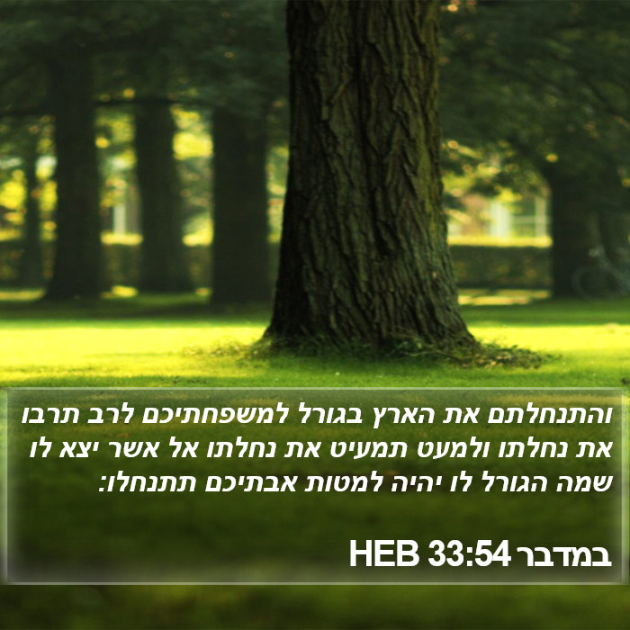 במדבר 33:54 HEB Bible Study