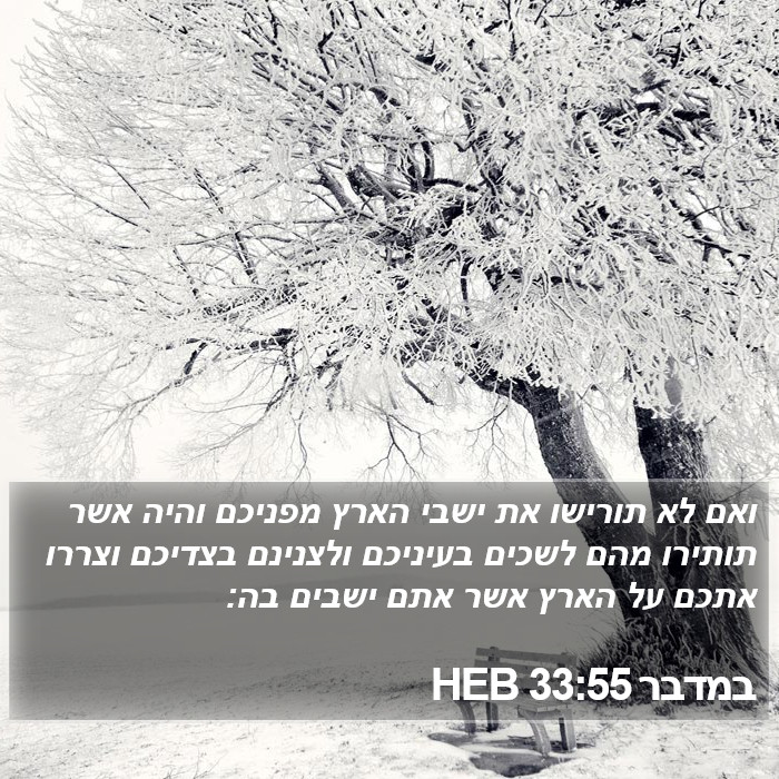 במדבר 33:55 HEB Bible Study