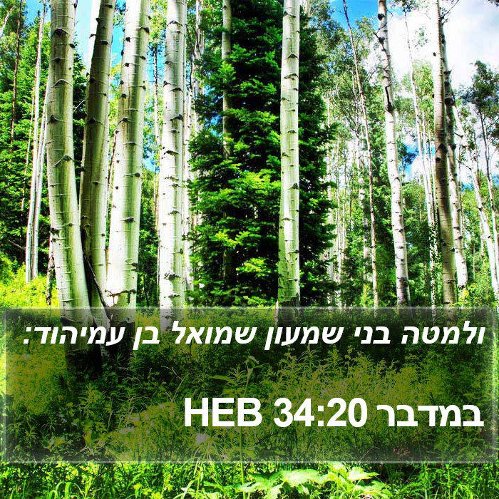 במדבר 34:20 HEB Bible Study