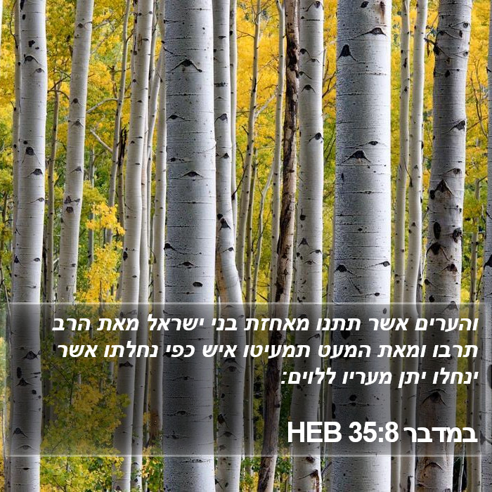 במדבר 35:8 HEB Bible Study