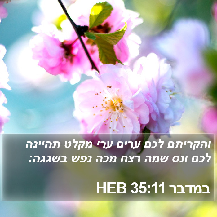 במדבר 35:11 HEB Bible Study