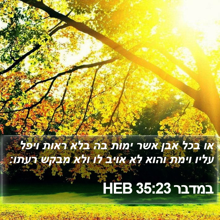 במדבר 35:23 HEB Bible Study