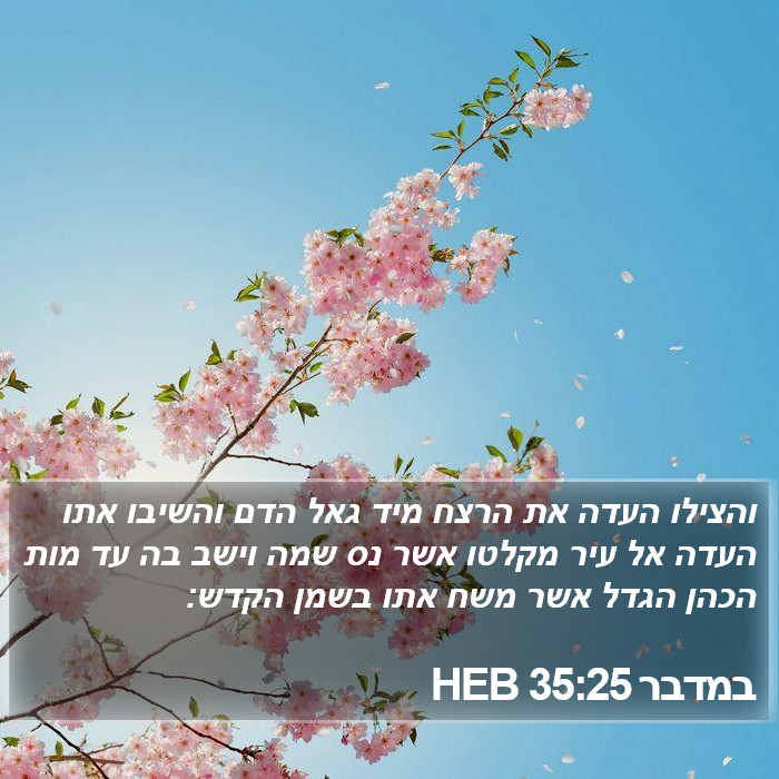 במדבר 35:25 HEB Bible Study