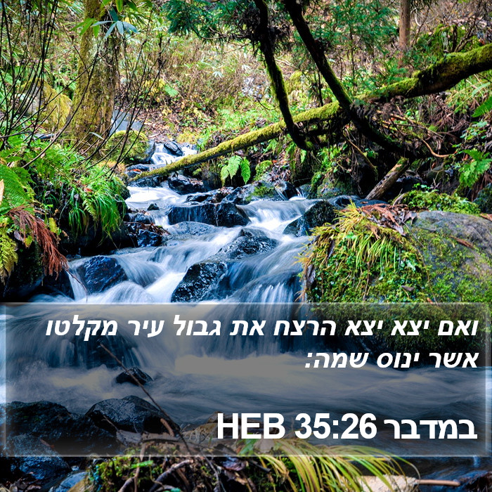 במדבר 35:26 HEB Bible Study