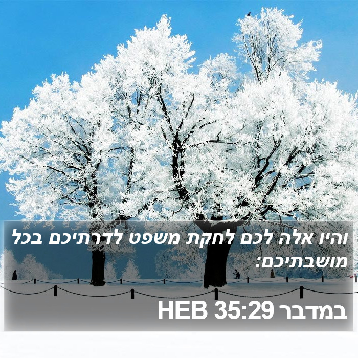 במדבר 35:29 HEB Bible Study