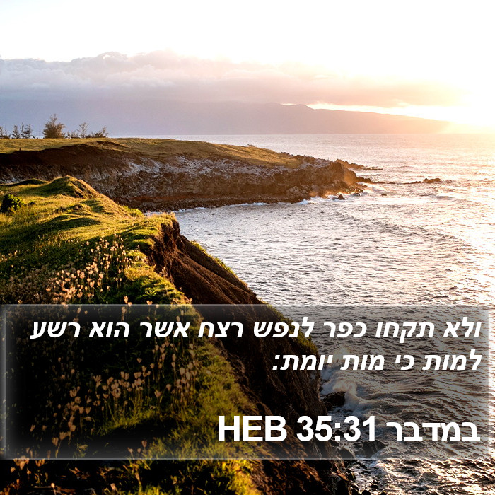 במדבר 35:31 HEB Bible Study