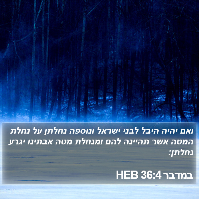 במדבר 36:4 HEB Bible Study