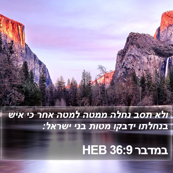 במדבר 36:9 HEB Bible Study