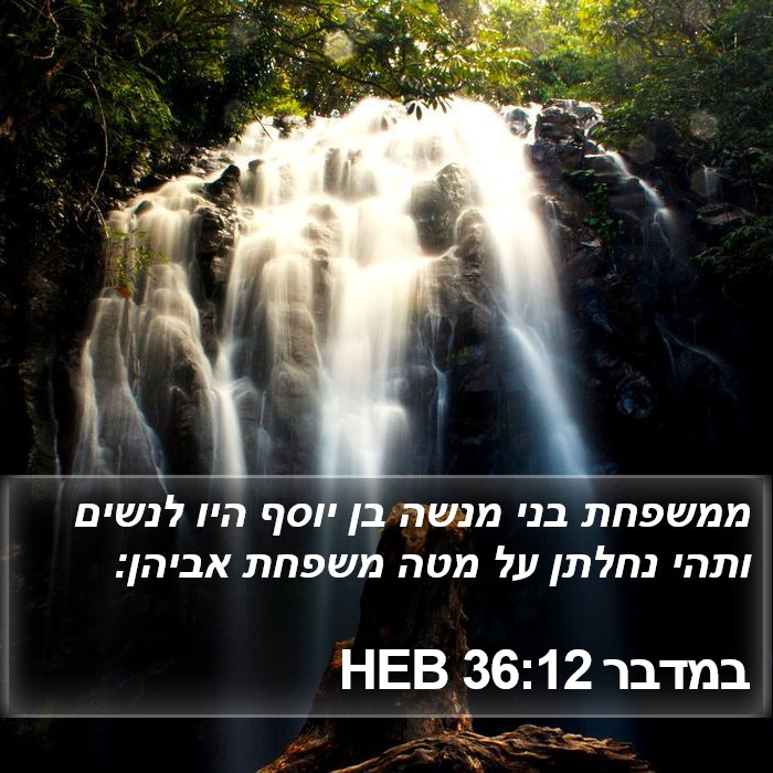 במדבר 36:12 HEB Bible Study