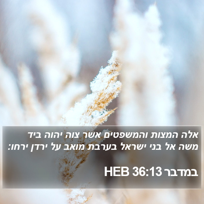 במדבר 36:13 HEB Bible Study