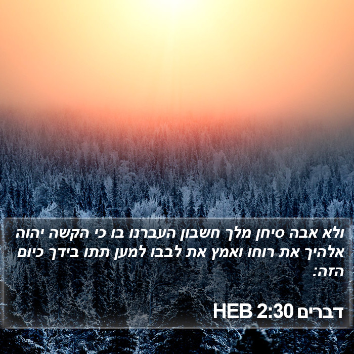 דברים 2:30 HEB Bible Study