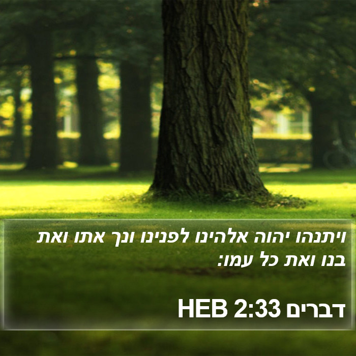 דברים 2:33 HEB Bible Study