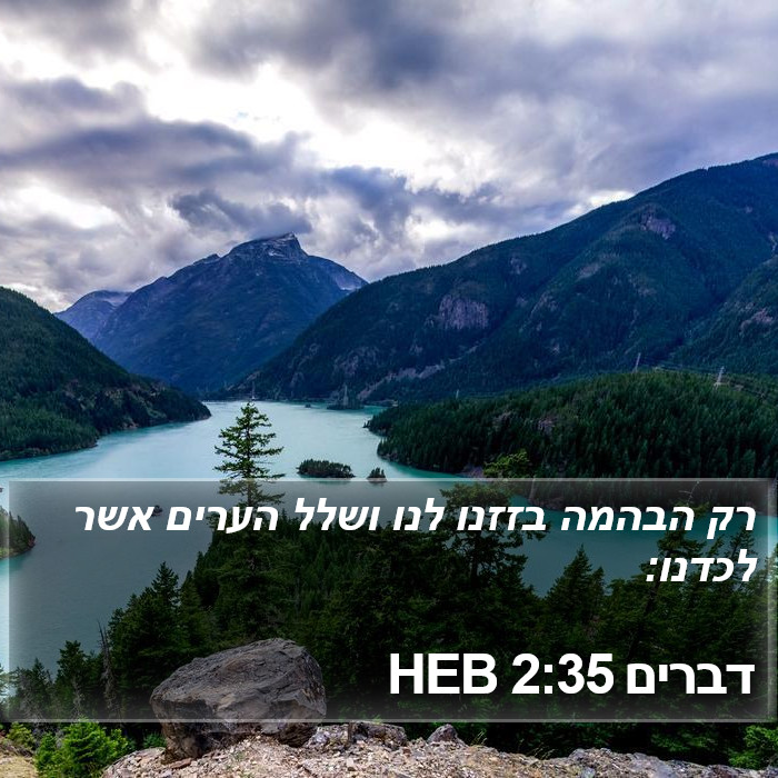 דברים 2:35 HEB Bible Study