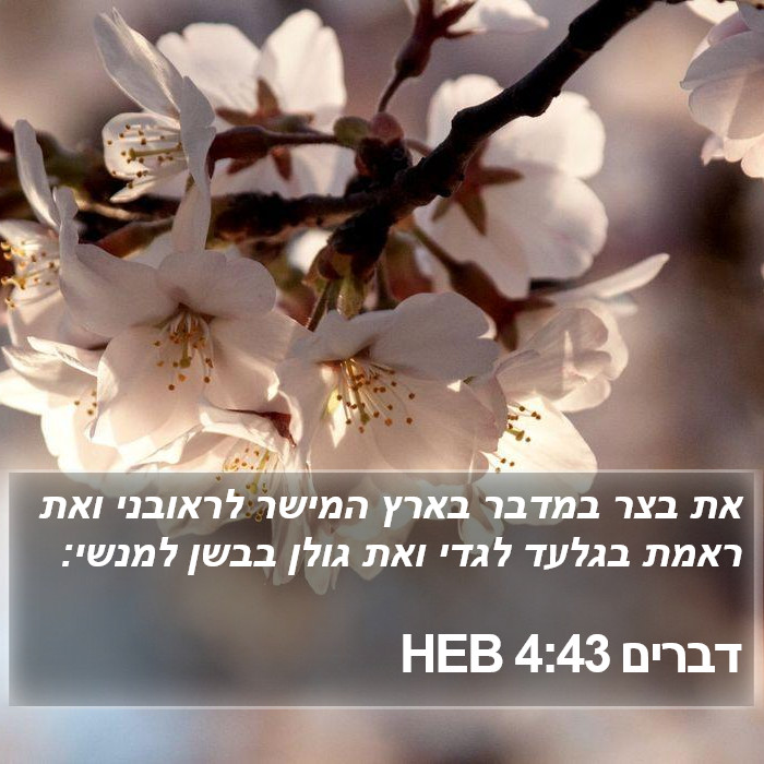 דברים 4:43 HEB Bible Study