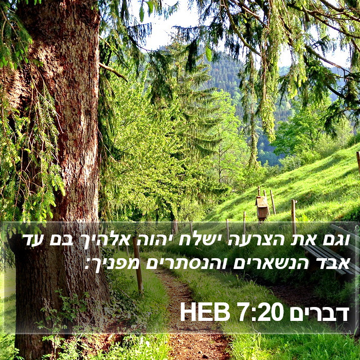 דברים 7:20 HEB Bible Study