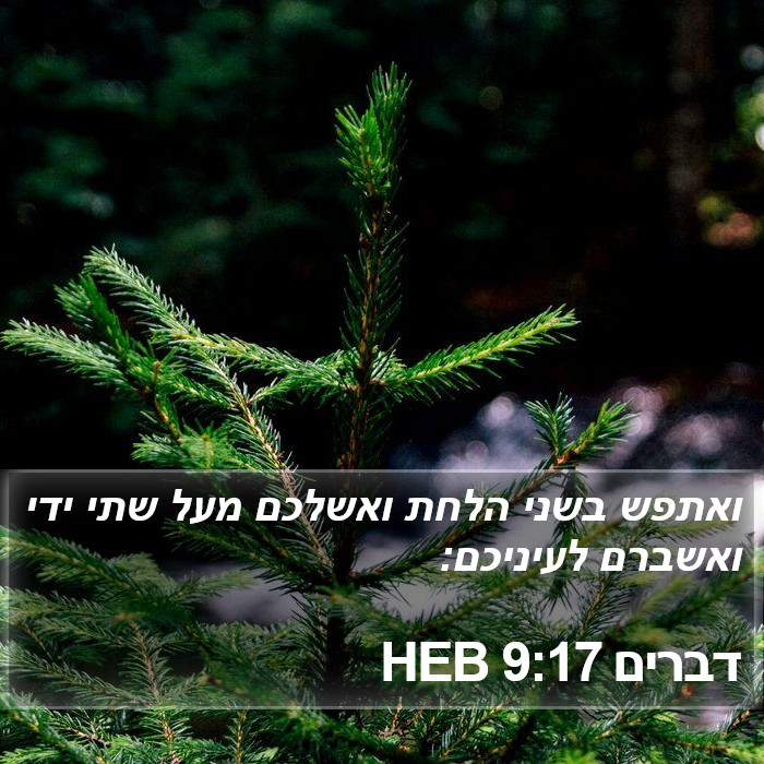 דברים 9:17 HEB Bible Study