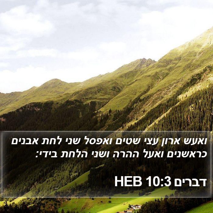 דברים 10:3 HEB Bible Study